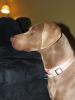 Wilma Cute